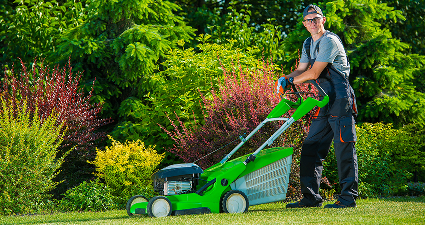 lawn care company burlington